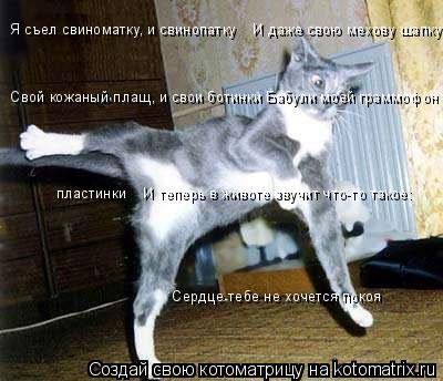 Котоматрица: Я съел свиноматку, и свинопатку    И даже свою мехову шапку     Свой кожаный плащ, и свои ботинки Бабули моей граммофон  пластинки    И теперь в 