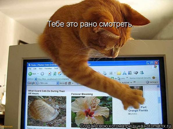 Котоматрица: Тебе это рано смотреть.