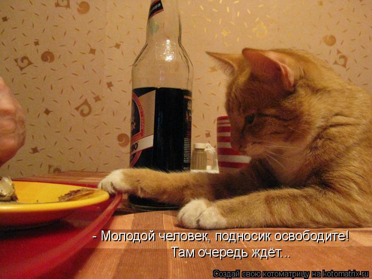 Котоматрица: - Молодой человек, подносик освободите! Там очередь ждёт...