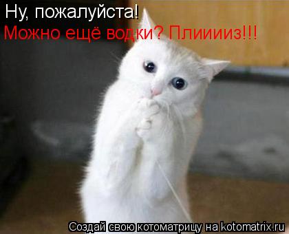 Котоматрица: Ну, пожалуйста! Можно ещё водки? Плииииз!!!