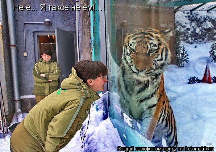 Котоматрица: Не-е... Я такое не ем!... Не-е... Я такое не ем!...