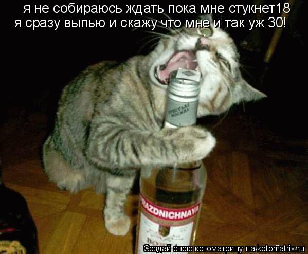 Котоматрица: я не собираюсь ждать пока мне стукнет18 я сразу выпью и скажу что мне и так уж 30!
