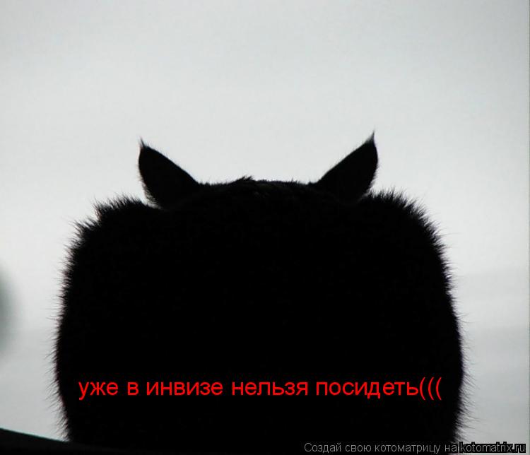 Котоматрица: уже в инвизе нельзя посидеть(((