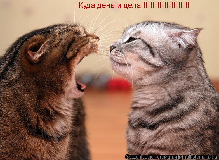 Котоматрица: Куда деньги дела!!!!!!!!!!!!!!!!!!!!!