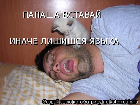 Котоматрица: ПАПАША ВСТАВАЙ ИНАЧЕ ЛИШИШСЯ ЯЗЫКА