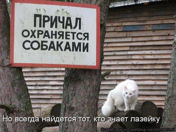 Но всегда найдется тот, кто знает лазейку... Котоматрица: Но всегда найдется тот, кто знает лазейку