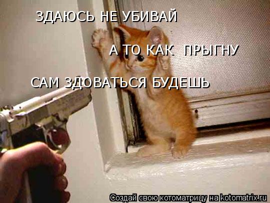 Котоматрица: ЗДАЮСЬ НЕ УБИВАЙ А ТО КАК  ПРЫГНУ САМ ЗДОВАТЬСЯ БУДЕШЬ