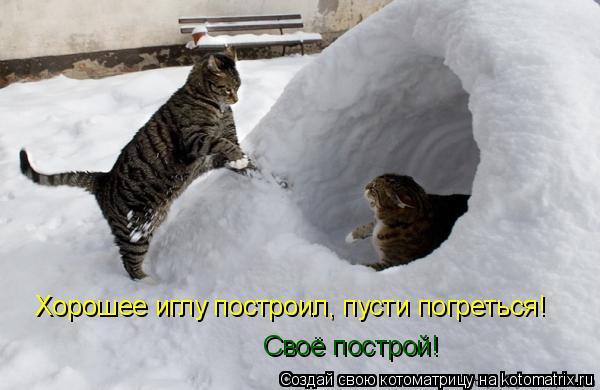 Котоматрица: Хорошее иглу построил, пусти погреться! Своё построй!