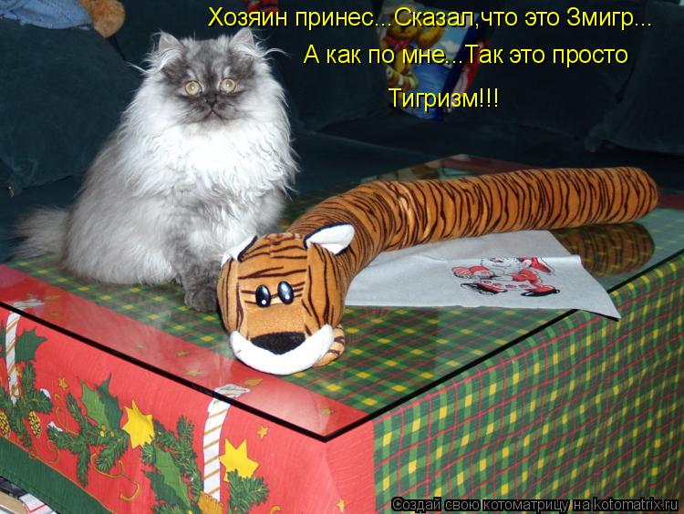 Котоматрица: Хозяин принес...Сказал,что это Змигр...  А как по мне...Так это просто  Тигризм!!!