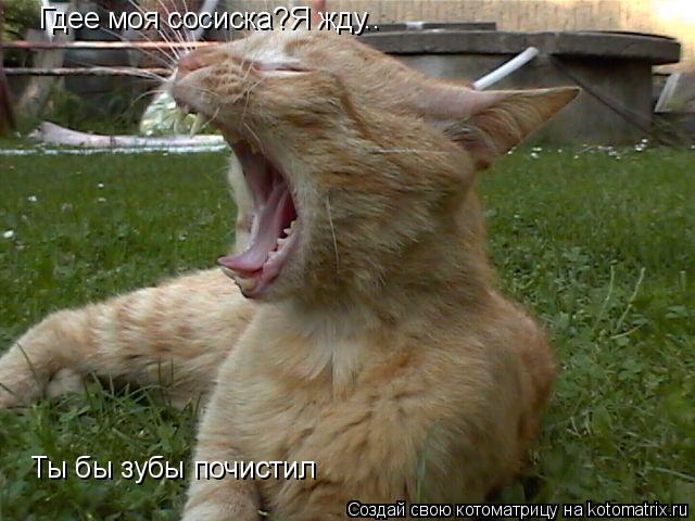 Котоматрица: Гдее моя сосиска?Я жду.. Ты бы зубы почистил