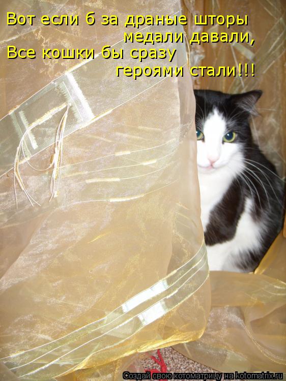 Вот если б за драные шторы медали давали, Все кошки бы сразу героями стали!!!... Котоматрица: Вот если б за драные шторы медали давали, Все кошки бы сразу героями стали!!!