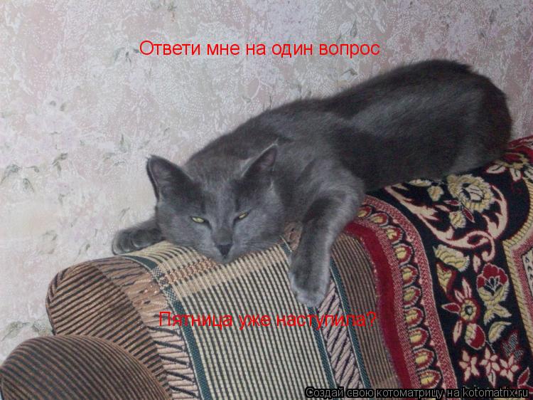 Ответи мне на один вопрос Пятница уже наступила?... Котоматрица: Ответи мне на один вопрос Пятница уже наступила?