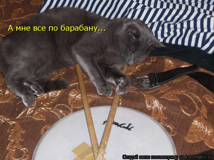 А мне все по барабану...... Котоматрица: А мне все по барабану...