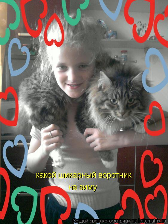 какой шикарный воротник на зиму... Котоматрица: какой шикарный воротник на зиму
