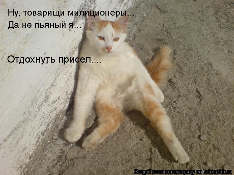 Котоматрица: Ну, товарищи милиционеры... Да не пьяный я... Отдохнуть присел....