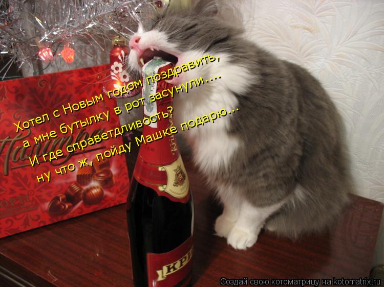 Котоматрица: Хотел с Новым годом поздравить,  а мне бутылку в рот засунули....  И где справетдливость?  ну что ж, пойду Машке подарю...