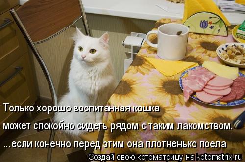 Котоматрица: Только хорошо воспитанная кошка может спокойно сидеть рядом с таким лакомством. ...если конечно перед этим она плотненько поела