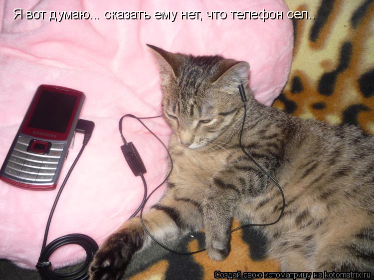 Котоматрица: Я вот думаю... сказать ему нет, что телефон сел..