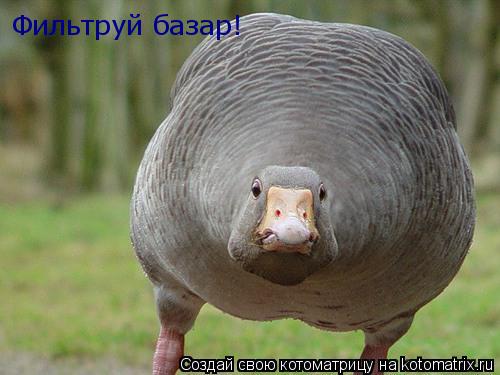Котоматрица: Фильтруй базар!