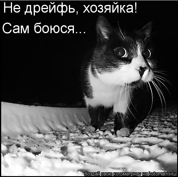 Котоматрица: Не дрейфь, хозяйка! Сам боюся...