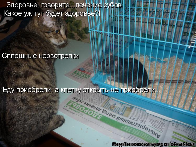 Котоматрица: Здоровье, говорите...лечение зубов... Какое уж тут будет здоровье?! Сплошные нервотрепки Еду приобрели, а клетку открыть-не приобрели...