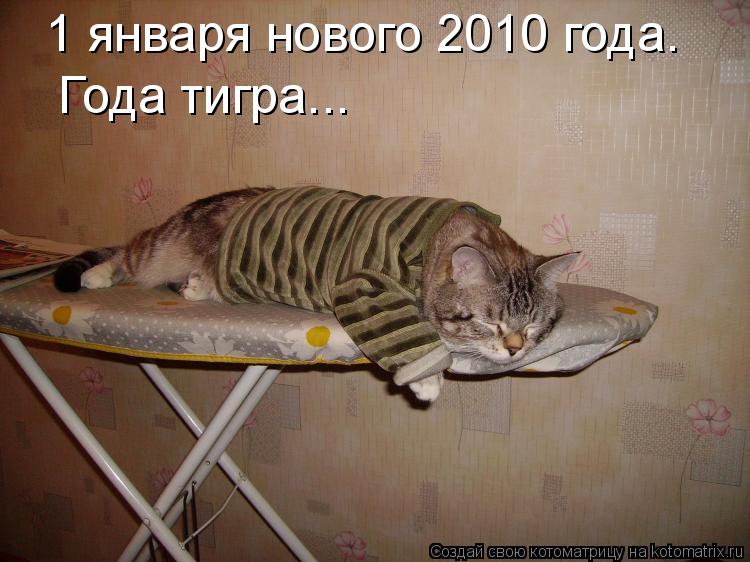 Котоматрица: 1 января нового 2010 года. Года тигра...