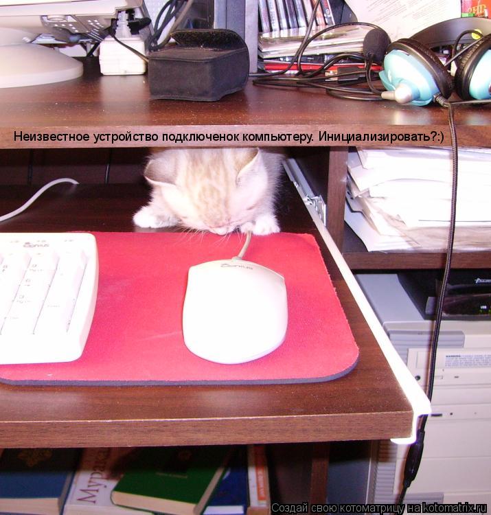 Котоматрица: Неизвестное устройство подключенок компьютеру. Инициализировать?:)