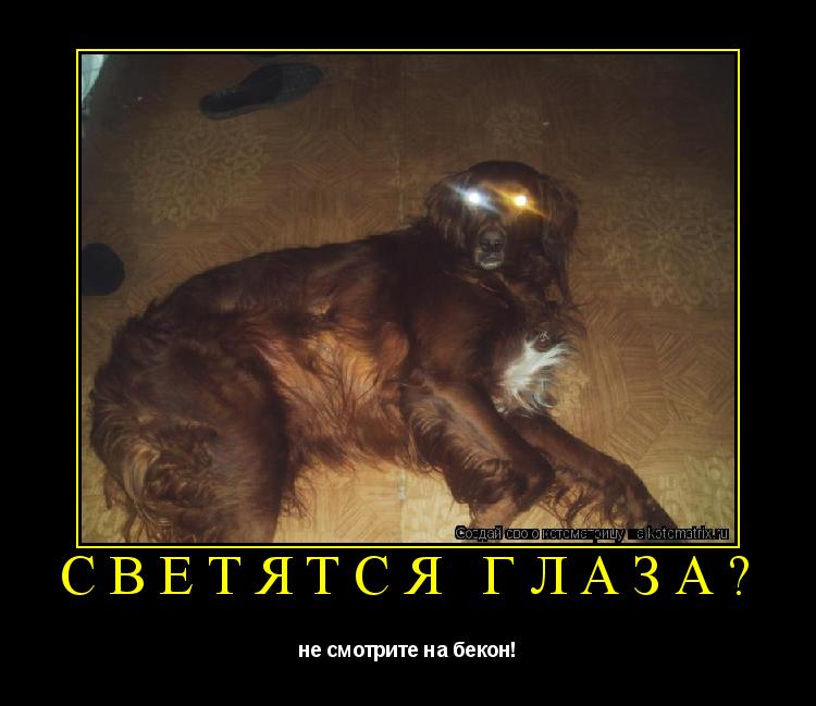Котоматрица: СВЕТЯТСЯ ГЛАЗА? не смотрите на бекон!