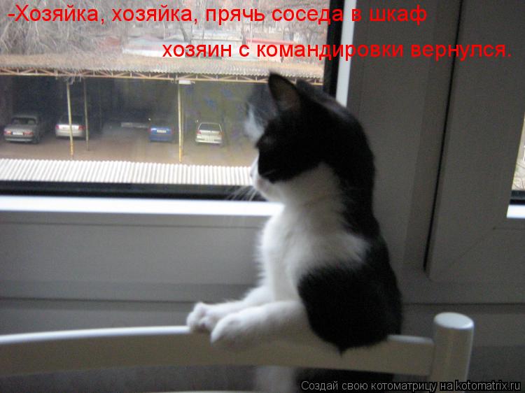 -Хозяйка, хозяйка, прячь соседа в шкаф хозяин с командировки вернулся.... Котоматрица: -Хозяйка, хозяйка, прячь соседа в шкаф хозяин с командировки вернулся.
