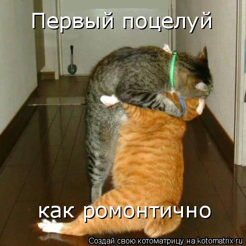 Первый поцелуй как ромонтично... Котоматрица: Первый поцелуй как ромонтично