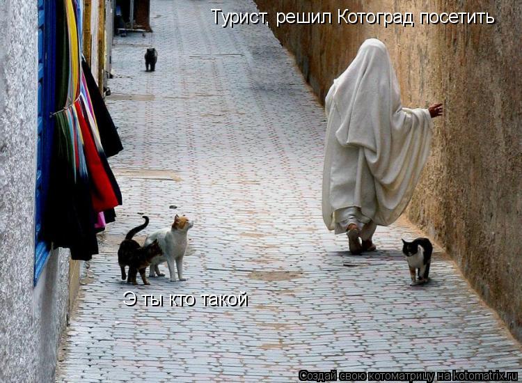 Котоматрица: Э ты кто такой  Турист, решил Котоград посетить