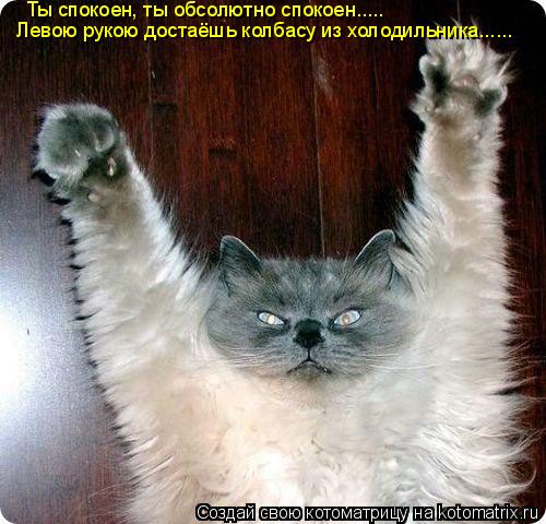 Ты спокоен, ты обсолютно спокоен..... Левою рукою достаёшь колбасу из холодильника......... Котоматрица: Ты спокоен, ты обсолютно спокоен..... Левою рукою достаёшь колбасу из холодильника......