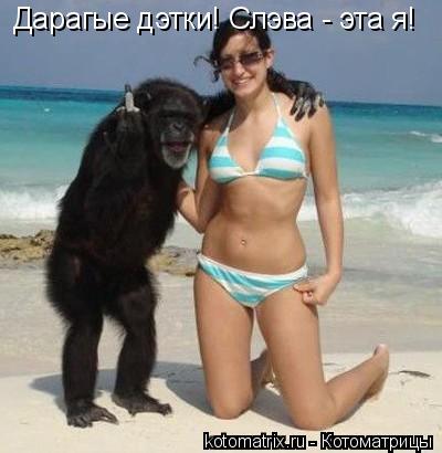 Котоматрица: Дарагые дэтки! Слэва - эта я!