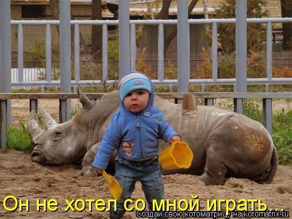 Котоматрица: Он не хотел со мной играть...