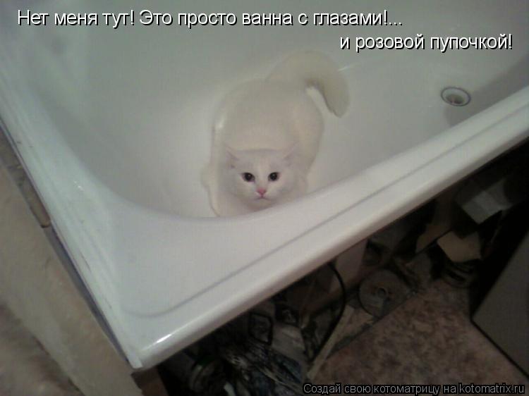 Котоматрица: Нет меня тут! Это просто ванна с глазами!... и розовой пупочкой!