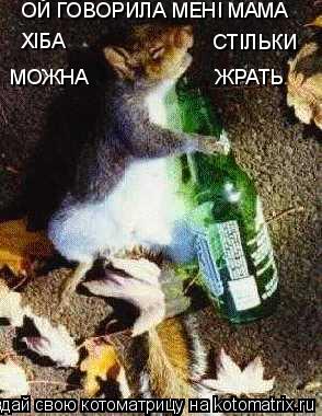 Котоматрица: ОЙ ГОВОРИЛА МЕНI МАМА ХIБА СТIЛЬКИ МОЖНА              ЖРАТЬ