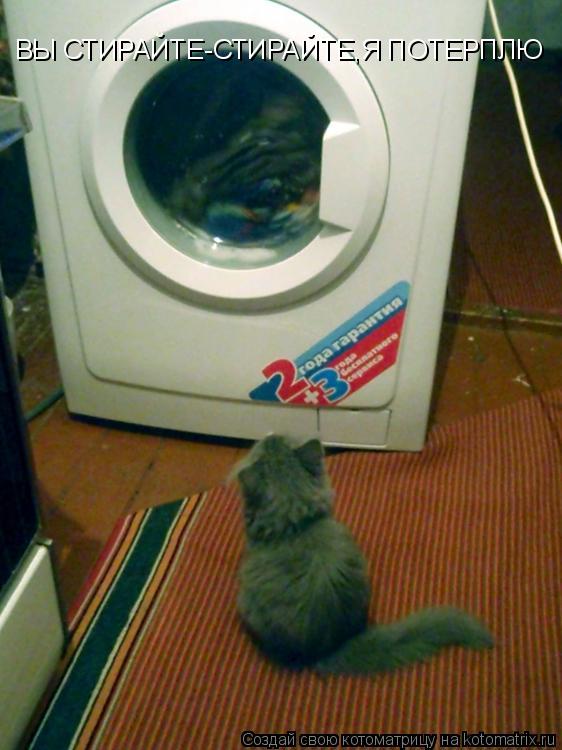 Котоматрица: ВЫ СТИРАЙТЕ-СТИРАЙТЕ,Я ПОТЕРПЛЮ