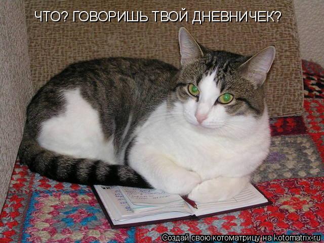 Котоматрица: ЧТО? ГОВОРИШЬ ТВОЙ ДНЕВНИЧЕК?