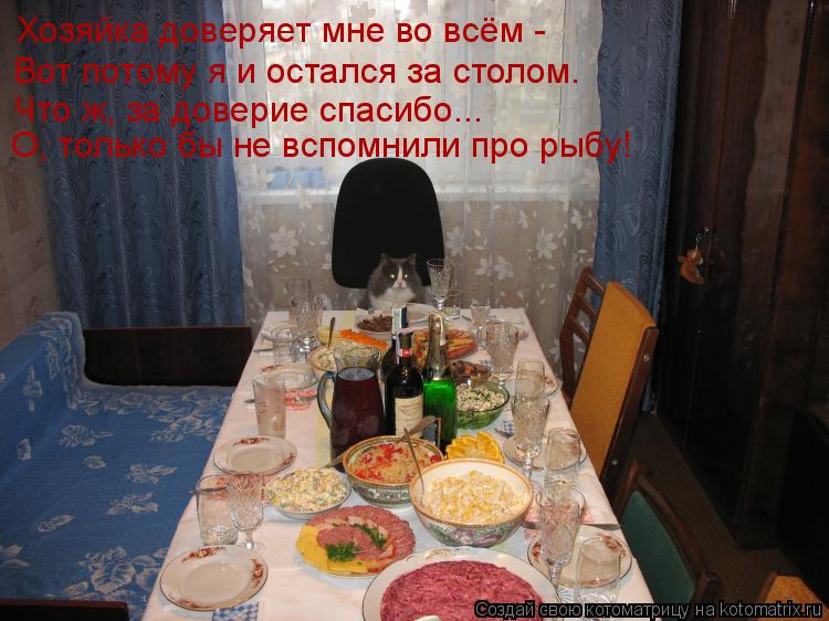 Хозяйка доверяет мне во всём - Вот потому я и остался за столом. Что ж, за доверие спасибо... О, тол... Котоматрица: Хозяйка доверяет мне во всём - Вот потому я и остался за столом. Что ж, за доверие спасибо... О, только бы не вспомнили про рыбу!