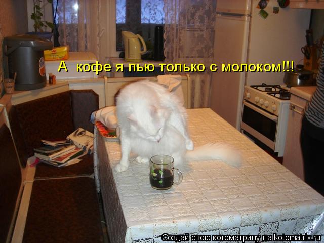 Котоматрица: А  кофе я пью только с молоком!!!