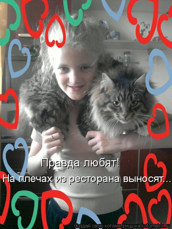 Котоматрица: Правда любят! На плечах из ресторана выносят...