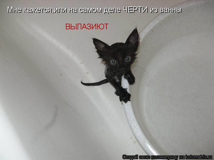 Котоматрица: Мне кажется,или на самом деле ЧЕРТИ из ванны ВЫЛАЗИЮТ