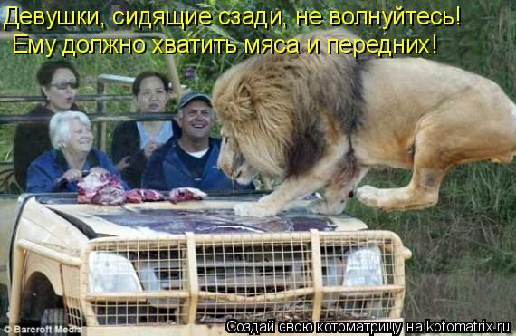 Девушки, сидящие сзади, не волнуйтесь! Ему должно хватить мяса и передних!... Котоматрица: Девушки, сидящие сзади, не волнуйтесь! Ему должно хватить мяса и передних!