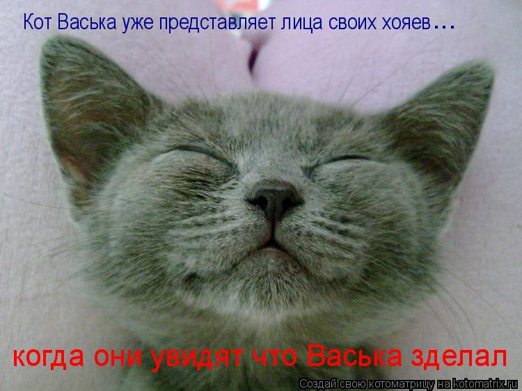 Кот Васька уже представляет лица своих хояев ... когда они увидят что Васька зделал... Котоматрица: Кот Васька уже представляет лица своих хояев ... когда они увидят что Васька зделал