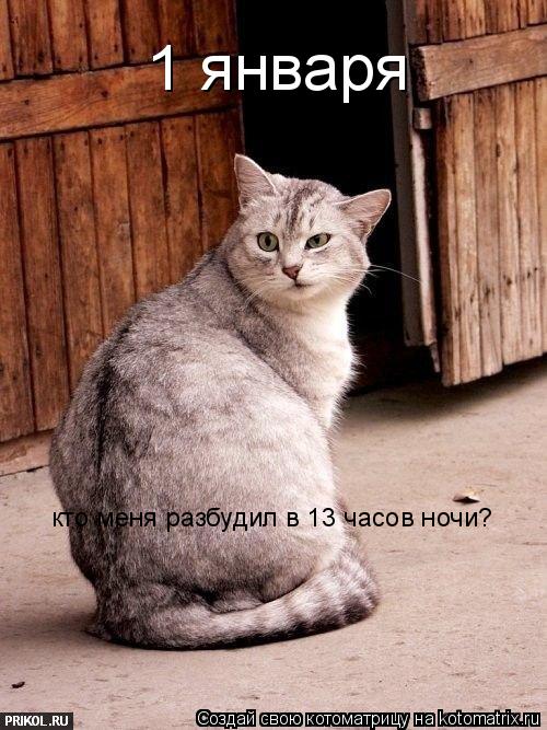 1 января кто меня разбудил в 13 часов ночи?... Котоматрица: 1 января кто меня разбудил в 13 часов ночи?