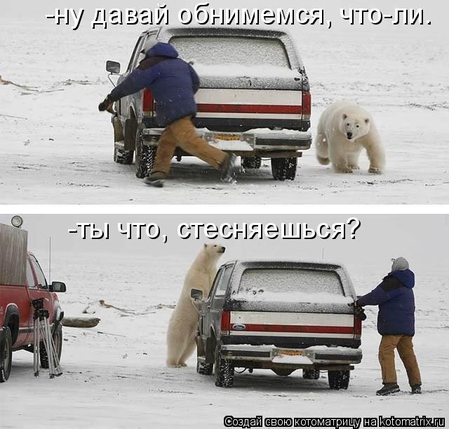 -ну давай обнимемся, что-ли. -ты что, стесняешься?... Котоматрица: -ну давай обнимемся, что-ли. -ты что, стесняешься?