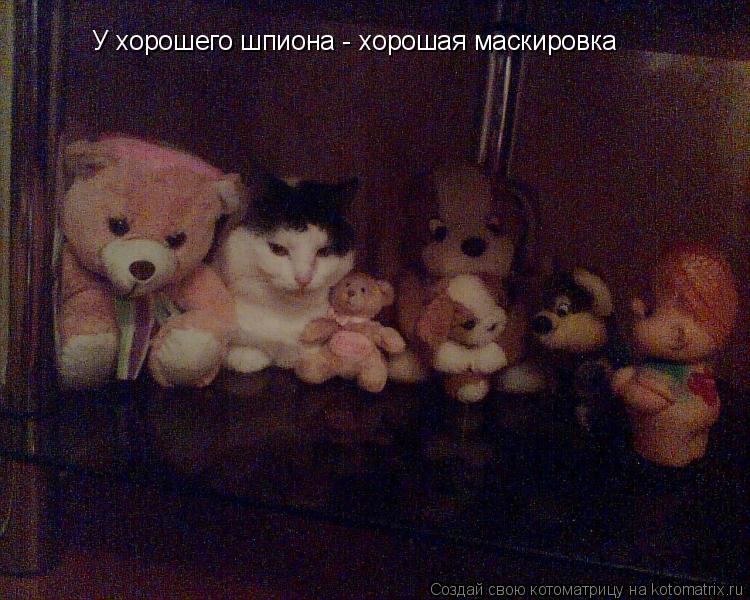 У хорошего шпиона - хорошая маскировка... Котоматрица: У хорошего шпиона - хорошая маскировка