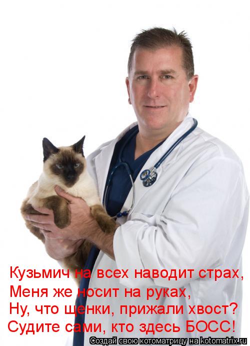 Котоматрица: Кузьмич на всех наводит страх, Меня же носит на руках, Ну, что щенки, прижали хвост? Судите сами, кто здесь БОСС!