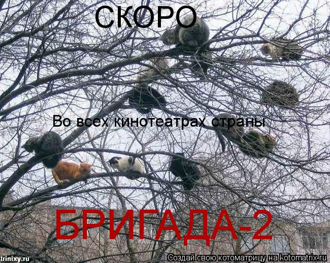 Котоматрица: БРИГАДА-2 СКОРО Во всех кинотеатрах страны