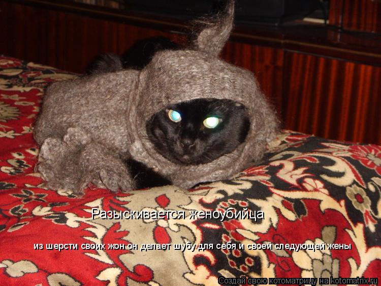 Котоматрица: Разыскивается женоубийца   из шерсти своих жон он делает шубу для себя и своей следующей жены